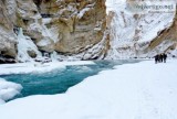 Chadar trek ladakh