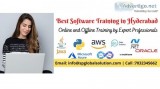Software training institutes
