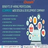 Website development agency in india | cypherdash