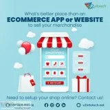 Custom eCommerce Solution  Best ecommerce Website Development Ag