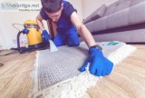 Dust Mite Cleaning Services
