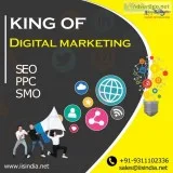IISINDIA-Best digital marketing services in Delhi