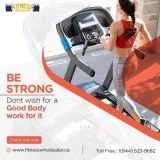 Top Weight Lifting Belt Canada  Fitness Wholesaler