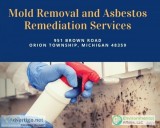 Mold Removal and Asbestos Remediation Services