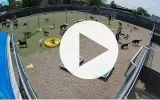 Cameras and The Benefit at Dog Boardingand Daycare - OKC and Moo