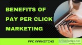 Why my business need a ppc company