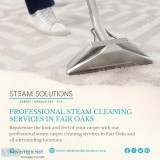 Professional Steam Cleaning Services In Fair Oaks
