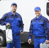 Pest Control In Melbourne