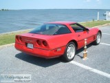 1984 Chevy Corvette