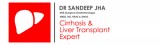 Liver specialist doctor