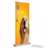 Premium Pop Up Display Stands in Canada Buy Today