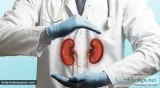 Kidney stone specialist in coimbatore-kidney stone operation