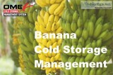 Banana cold storage | omex csms