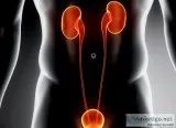 Specialist cancer surgon urology cancer doctor in jaipur