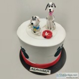 Designer cake delivery in Chandigarh | Cake plants & flowers