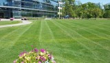 Get Lawn Maintenance Service in Brampton - Beyond Reno