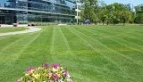Get Lawn Maintenance Service in Brampton - Beyond Reno