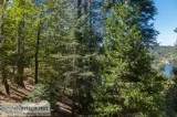 Lake View Land - Crestline