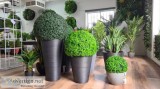 Decorative Range of Garden Pots in Melbourne