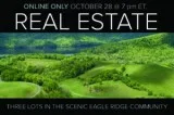 Eagle Ridge Watauga Lake Tennessee Real Estate Three Exceptional