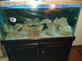 100 Gallon Aquarium with Filter Live Rock and Stand