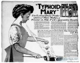 Facts about typhoid mary