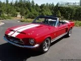 1968 SHELBY MUSTANG GT500 KR-PROTOURINGRESTOM OD