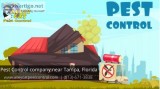 Residential Pest Control Services Provider Tampa Florida