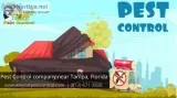 Residential Pest Control Services Provider Tampa Florida