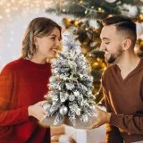 Exquisite Christmas Tree with LED Lights 2ft Table Top FREE SHI