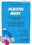 House Cleaning Services