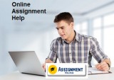 Online Assignment help