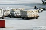 Freight Logistics Solutions for All Your freight Needs