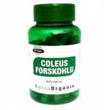 Buy forskohlii capsules online - nutraorganix