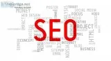 Search engine optimization in usa