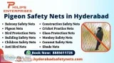 Pigeon safety net in hyderabad