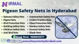 Pigeon safety net in hyderabad