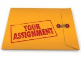 My assignment help reviews