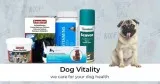 Best Fresh & Healthy Online Food for Dogs and Puppies | Pawrulz