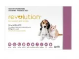 Revolution For Dogs  Flea and Tick Control  DiscountPetCare