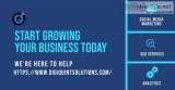 Want To Grow Your Business Online   Contact Digiquint Solutions