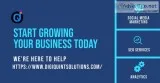 Want To Grow Your Business Online   Contact Digiquint Solutions