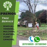 Tree Removal Service Bensalem