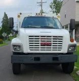 Best Stump Grinding Service in Bensalem PA
