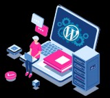 Wordpress development company in dubai