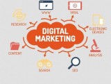 Hire a Professional Digital Marketing Company to Promote Your Bu