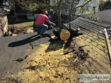 Tree Service in Newfoundland NJ