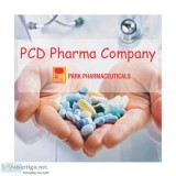 Pcd pharma company