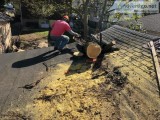Tree Service in Pompton Lakes NJ