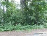 Toledo bend lake lot for sale